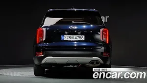 Hyundai Palisade, 2019 — миниатюра 4