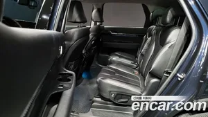 Hyundai Palisade, 2019 — миниатюра 12