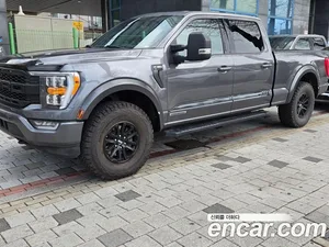 Ford F150, 2021 — миниатюра 18