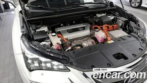 Lexus NX, 2016 — миниатюра 6