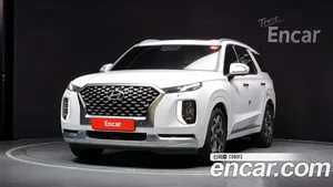 Hyundai Palisade, 2020 — миниатюра 1