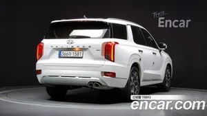 Hyundai Palisade, 2020 — миниатюра 2