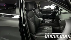 Hyundai Santa Fe, 2018 — миниатюра 10
