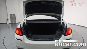 BMW 5-Series, 2016 — миниатюра 20