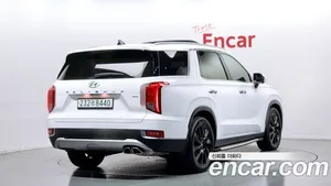 Hyundai Palisade, 2020 — миниатюра 2