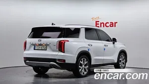 Hyundai Palisade, 2020 — миниатюра 2