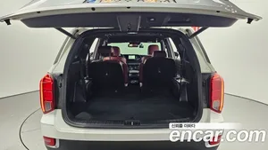 Hyundai Palisade, 2020 — миниатюра 20