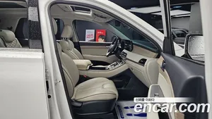 Hyundai Palisade, 2019 — миниатюра 12