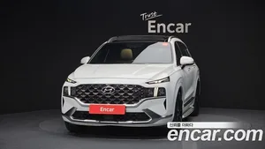 Hyundai Santa Fe, 2020 — миниатюра 3