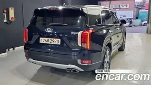 Hyundai Palisade, 2019 — миниатюра 2