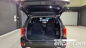 Hyundai Palisade, 2019 — миниатюра 12