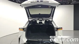 Lexus RZ, 2023 — миниатюра 20