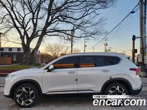 Hyundai Santa Fe, 2020 — миниатюра 5
