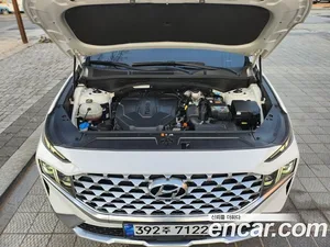 Hyundai Santa Fe, 2020 — миниатюра 9