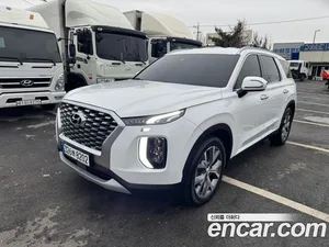 Hyundai Palisade, 2020 — миниатюра 1