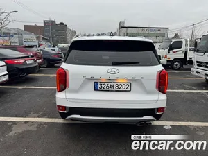 Hyundai Palisade, 2020 — миниатюра 4