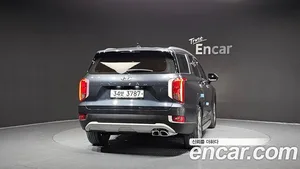 Hyundai Palisade, 2019 — миниатюра 4