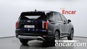 Hyundai Palisade, 2019 — миниатюра 2