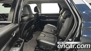 Hyundai Palisade, 2019 — миниатюра 12