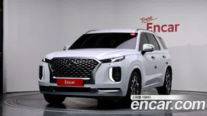 Hyundai Palisade, 2020 — миниатюра 1