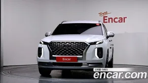 Hyundai Palisade, 2020 — миниатюра 3