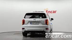 Hyundai Palisade, 2020 — миниатюра 4