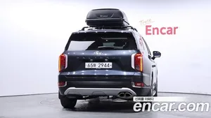 Hyundai Palisade, 2019 — миниатюра 4