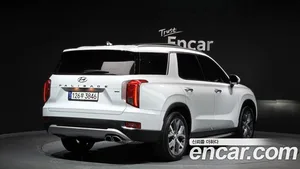 Hyundai Palisade, 2020 — миниатюра 2