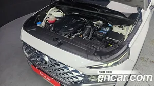 Hyundai Santa Fe, 2020 — миниатюра 6