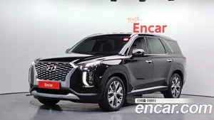 Hyundai Palisade, 2020 — миниатюра 1