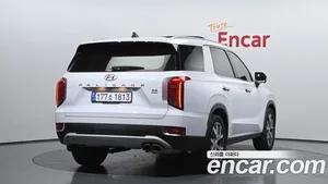 Hyundai Palisade, 2020 — миниатюра 2