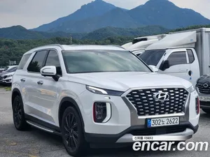 Hyundai Palisade, 2019 — миниатюра 2