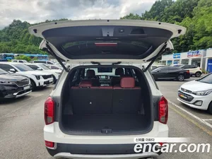 Hyundai Palisade, 2019 — миниатюра 16