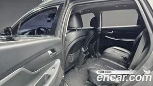 Hyundai Santa Fe, 2018 — миниатюра 16