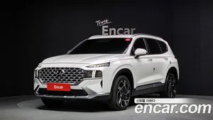 Hyundai Santa Fe, 2021 — миниатюра 1