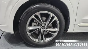 Hyundai Santa Fe, 2019 — миниатюра 4