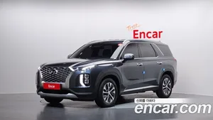 Hyundai Palisade, 2020 — миниатюра 1