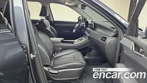Hyundai Palisade, 2020 — миниатюра 11