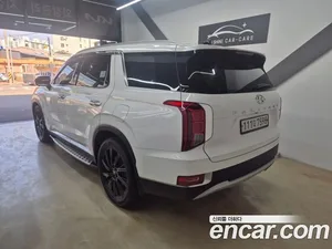 Hyundai Palisade, 2019 — миниатюра 4