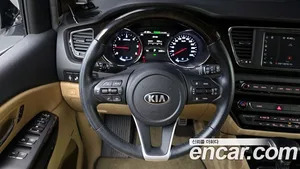 Kia Carnival, 2018 — миниатюра 17