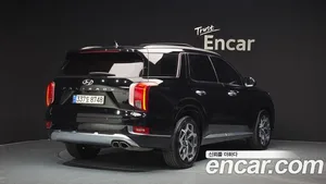 Hyundai Palisade, 2020 — миниатюра 2