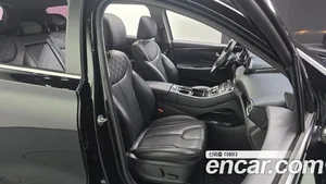 Hyundai Santa Fe, 2020 — миниатюра 12