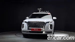 Hyundai Palisade, 2021 — миниатюра 3
