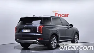 Hyundai Palisade, 2020 — миниатюра 2