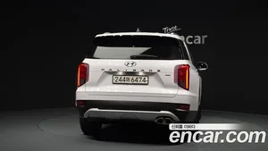 Hyundai Palisade, 2019 — миниатюра 4