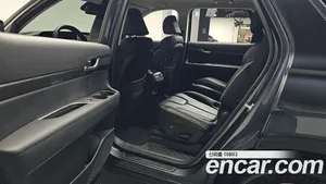 Hyundai Palisade, 2019 — миниатюра 16