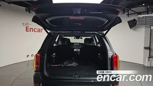Hyundai Palisade, 2019 — миниатюра 25