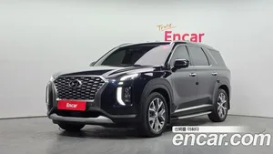 Hyundai Palisade, 2020 — миниатюра 1