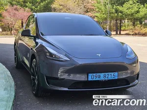 Tesla Model Y, 2025 — миниатюра 2