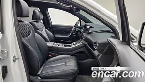 Hyundai Santa Fe, 2020 — миниатюра 17